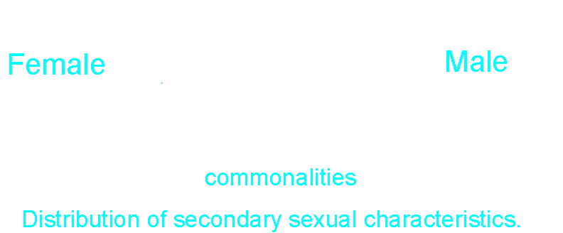 distribution of secondary sexual characteristics